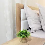 아파트 Antigona